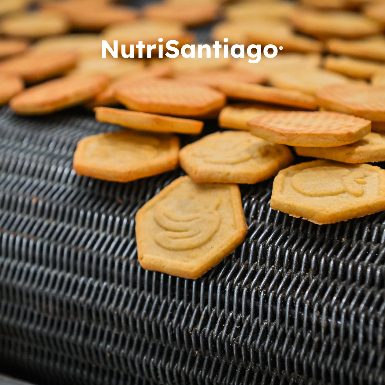 Nutrisantiago